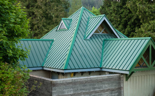 Best Chimney Flashing Repair  in Princevle, IL