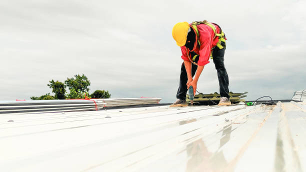 Best Hot Roofs  in Princevle, IL
