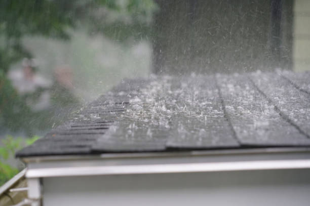 Best Metal Roofing Installation  in Princevle, IL