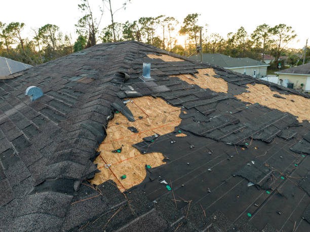 Best Asphalt Shingle Roofing  in Princevle, IL